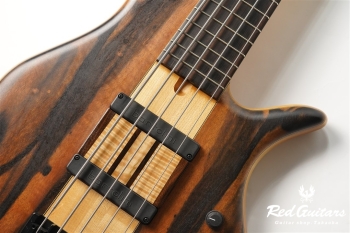 Platinum Series Single-Cut , e-volution 5 - Macassar Ebony